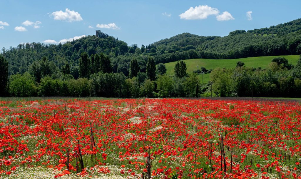 umbriaction-mountain-bike-around-trasimeno-lake